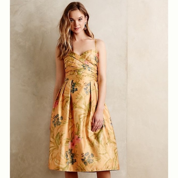 Anthropologie James Coviello Botanica Dress - Picture 1 of 7